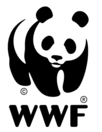 captura de pantalla 2024 02 20 124829