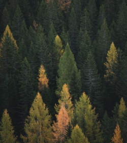 unsplash_K_TbABnVzHo(2)